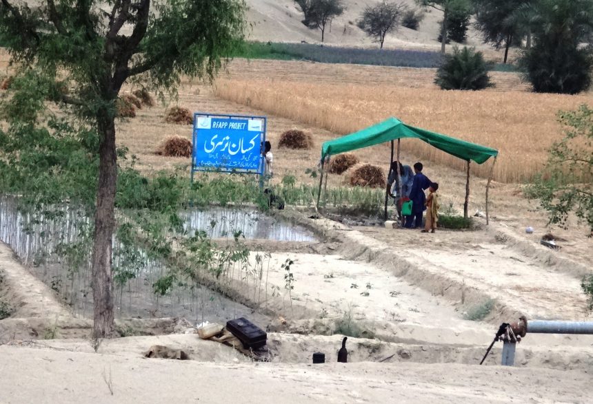 Climate Change Adaption