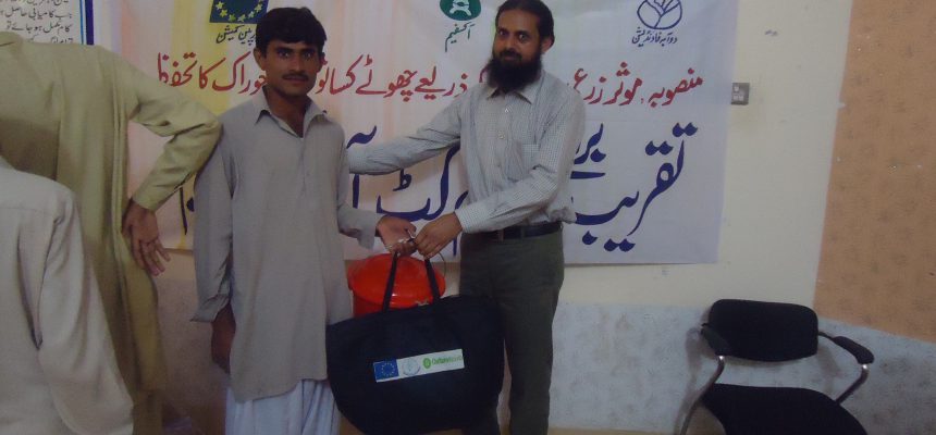 Enterprises Development