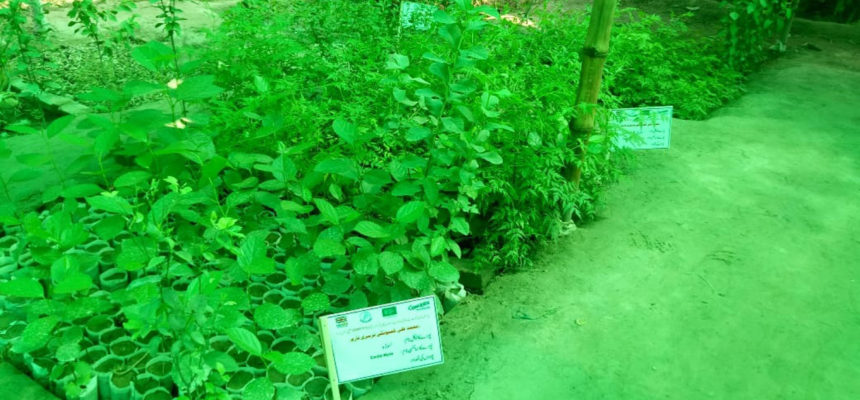 Livelihood Sector for Sustainable livelihoods and enviormental management practices for resilience building