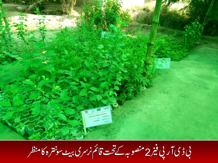 Livelihood Sector for Sustainable livelihoods and enviormental management practices for resilience building